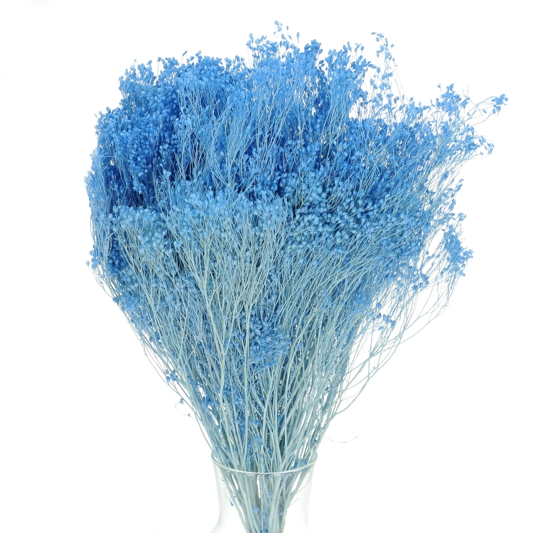 Suszone kwiaty - żarnowiec, broom bloom jasny niebieski - bukiet