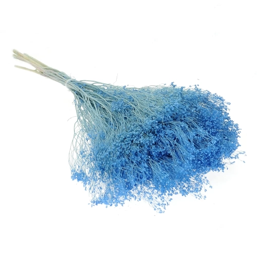 Suszone kwiaty - żarnowiec, broom bloom jasny niebieski - bukiet