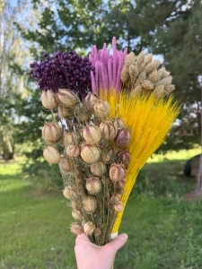 Dried flowers set - Alchemy