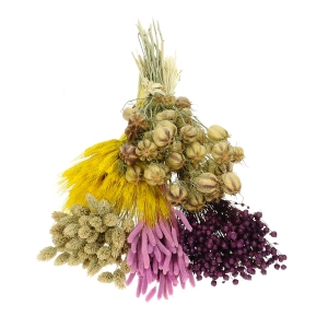 Dried flowers set - Alchemy
