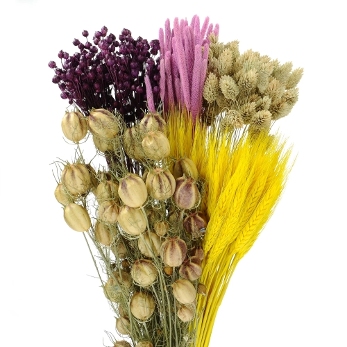 Dried flowers set - Alchemy