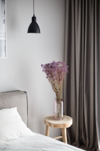 Dried violet gypsophila - bunch - dried flowers