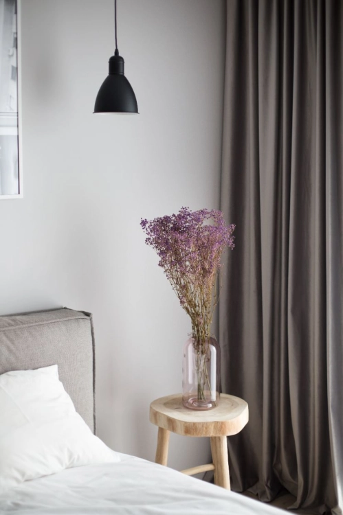 Dried violet gypsophila - bunch - dried flowers