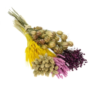 Dried flowers set - Alchemy