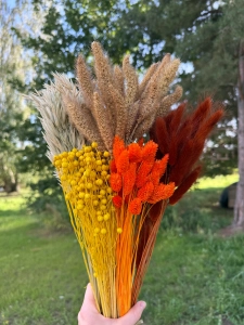Dried flowers set - Embrace