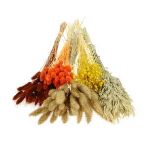 Dried flowers set - Embrace