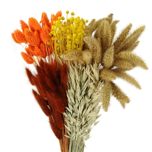 Dried flowers set - Embrace