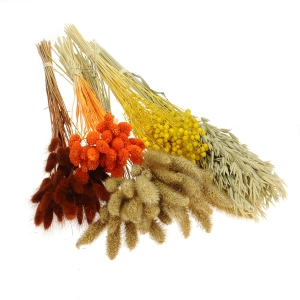 Dried flowers set - Embrace