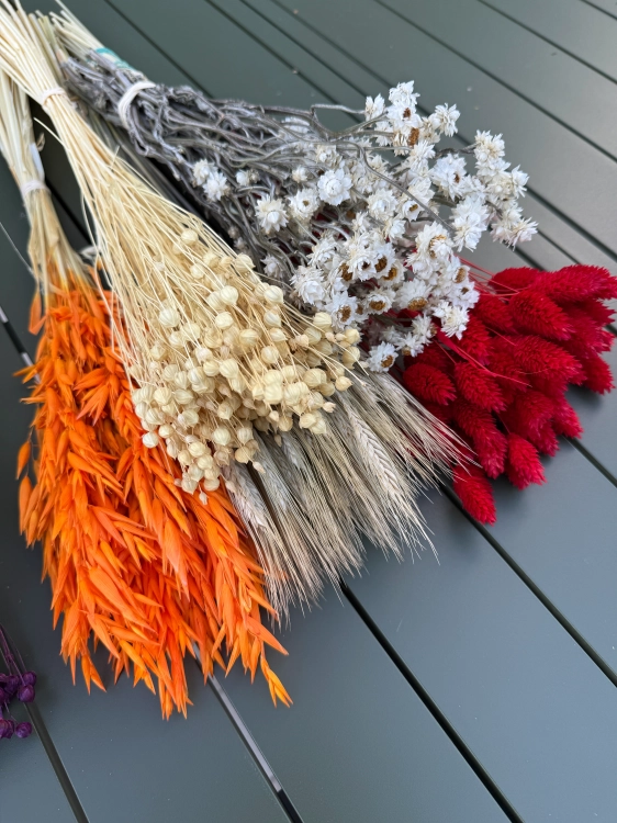 Dried flowers set - Flame