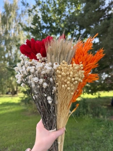 Dried flowers set - Flame