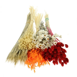 Dried flowers set - Flame