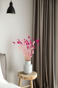 Dried fuchsia Lagurus - bunny tail grass ~60 stems