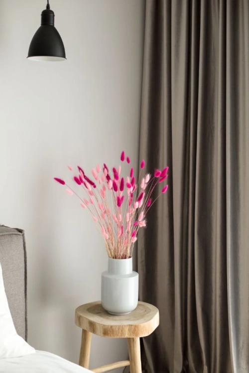 Lagurus fuchsia - Strauß ~60 Stück
