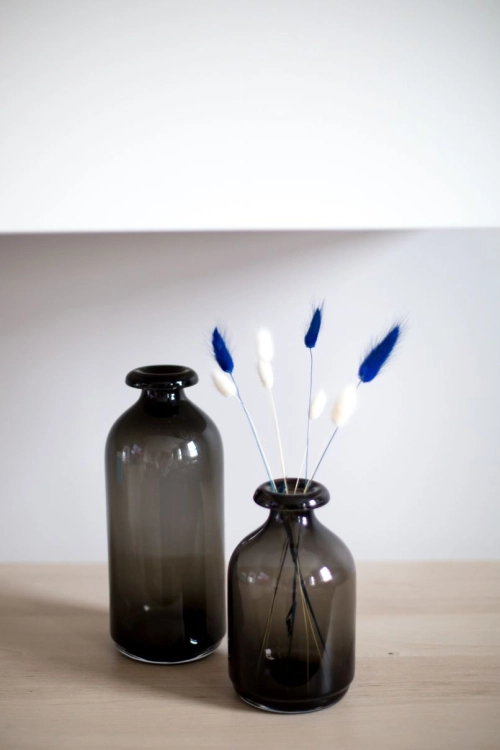 Dried navy blue Lagurus - bunny tail grass ~60 stems