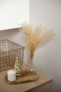 Stipa (Pfriemengras), natürlich - 5 Stk. - Trockengräser
