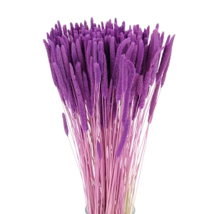 Suszona tymotka (Phleum) fioletowa - bukiet