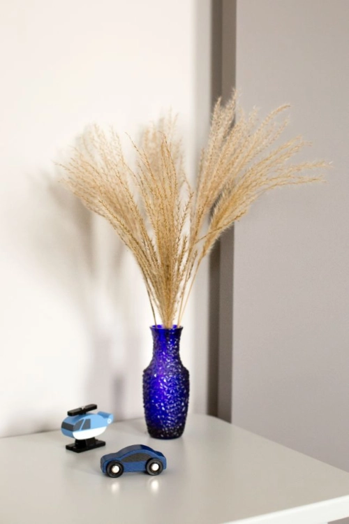Dried Stipa - feather grass - ornamental grass, 5 pieces