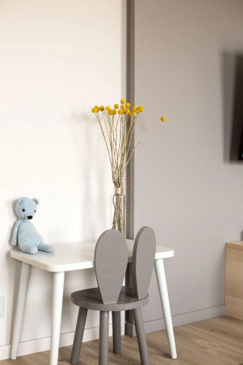 Craspedia, gelb - 5 Stk. - große Vielfalt - Trockenblumen