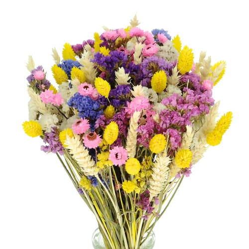 Bukiet z suszonych kwiatów - kolorowy
