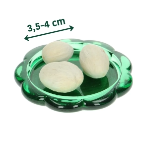 Amra Pods bielone 100 g - susz egzotyczny