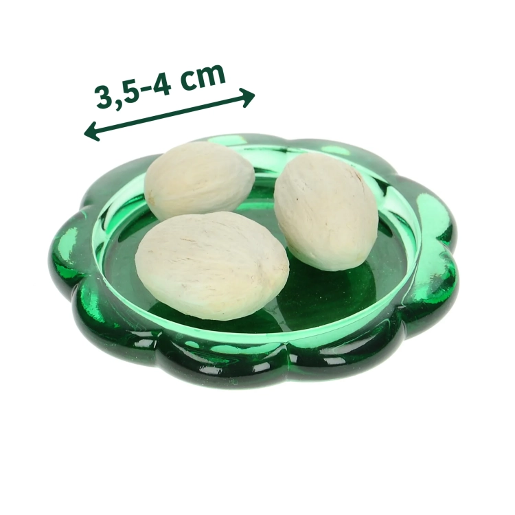 Amra Pods bielone 100 g - susz egzotyczny