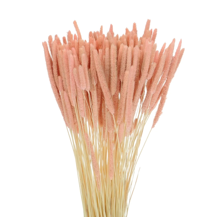 Suszona tymotka (Phleum) łososiowa - bukiet