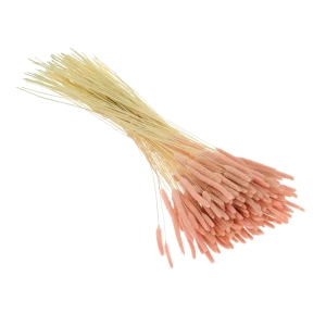 Suszona tymotka (Phleum) łososiowa - bukiet