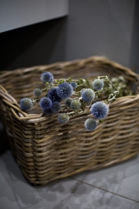 Dried Echinops - bouquet - dried flowers