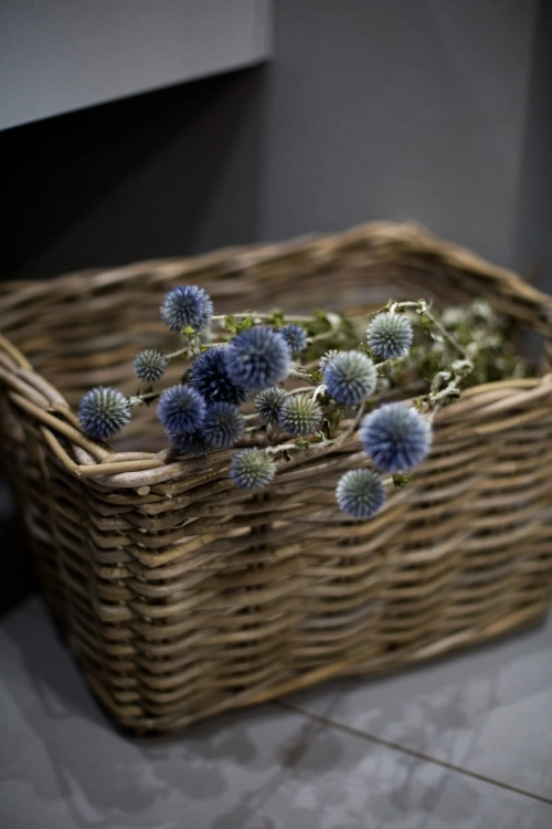 Dried Echinops - bouquet - dried flowers