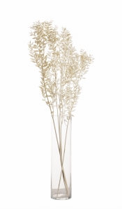 Ruscus (Mäusedorne) weiß - 5 Zweigen