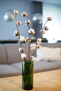 Baumwolle - Zweig, 6 Blüten - Trockenblumen