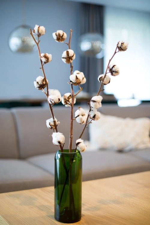 Dried cotton stem with 6 flowers