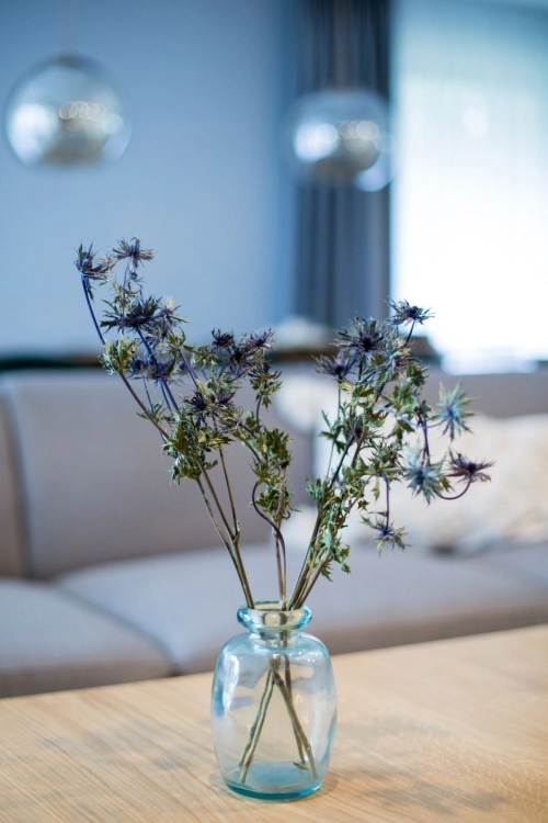 Dried Eryngium - bunch - dried flowers