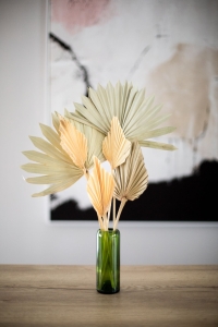 Dried natural palm leaf - Palm Sun