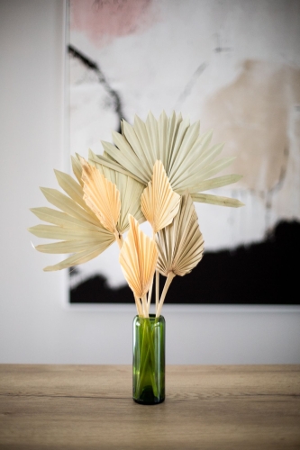 Dried natural palm leaf - Palm Sun