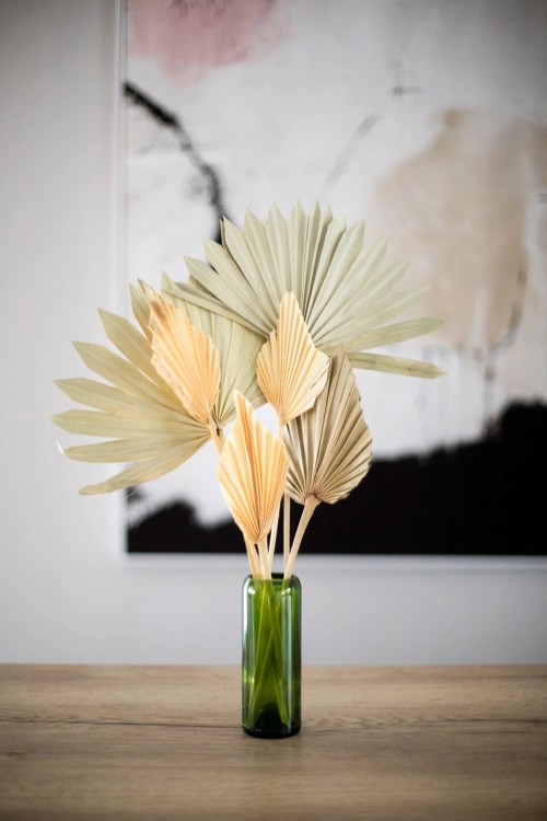Dried natural palm leaf - Palm Sun