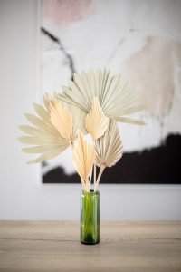 Dried bleached palm leaf - Palm Spear