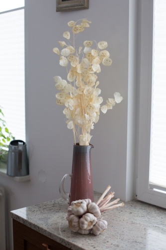 Lunaria, gebleicht - Strauß - Trockenblumen
