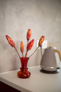 Dried red Protea - stem - dried flowers