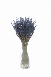 Dried dark blue lavender - bouquet ~150 pcs.