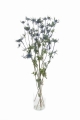 Getrocknete Eryngium - Strauß - Trockenblumen