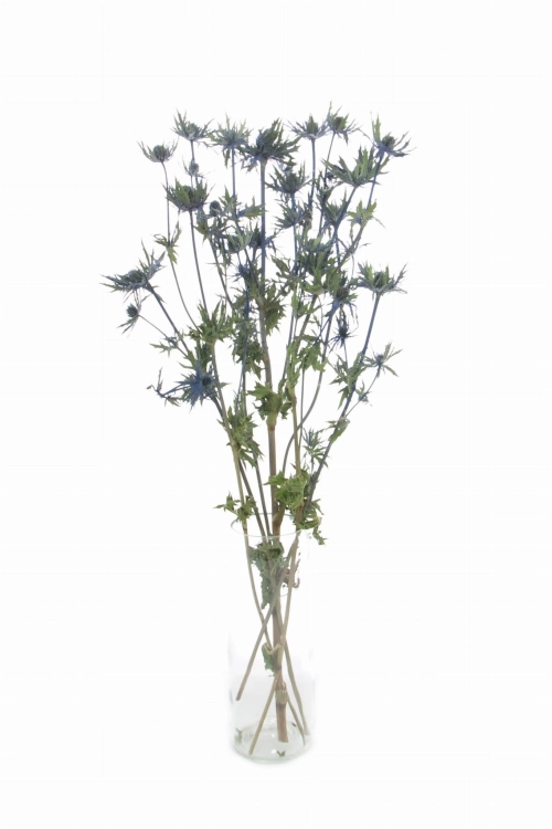 Dried Eryngium - bunch - dried flowers