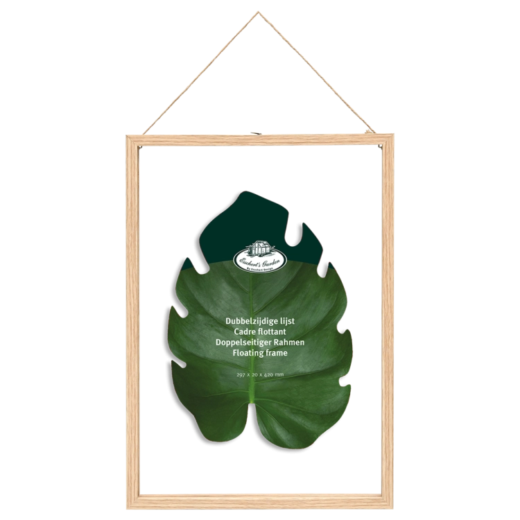 Dried flowers frame - double glass, floating frame - large