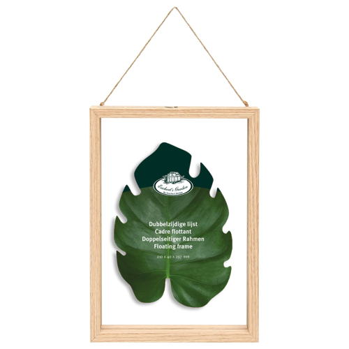 Dried flowers frame - double glass, floating frame - medium