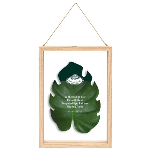 Dried flowers frame - double glass, floating frame - medium