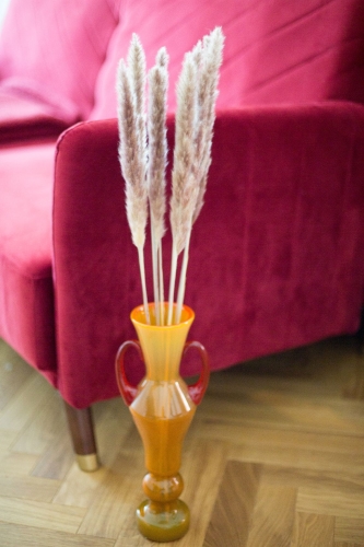 Pampasgras, natürlich - 70 cm, 5 Stk. - Trockengräser