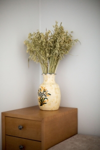 Dried natural Avena - bunch ~50 stems