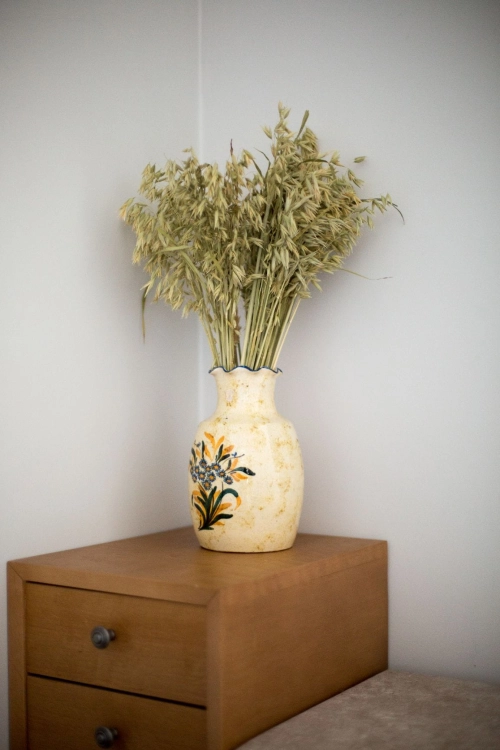 Dried natural Avena - bunch ~50 stems