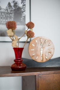Dried Banksia Coccinea - stem - dried flowers