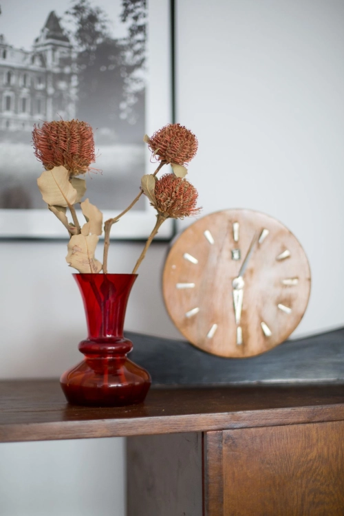 Dried Banksia Coccinea - stem - dried flowers